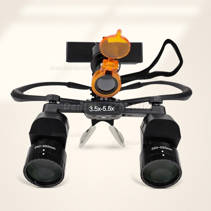 Ergo loupes dentiste WJ YWJ-MG11 3.0X-5.0X (grossissement réglable) avec lampe frontale dentaire